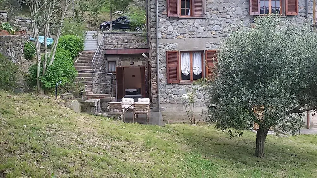 Arvasia Vernazza